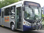 Transporte gratuito de bicicletas em ônibus pode virar lei