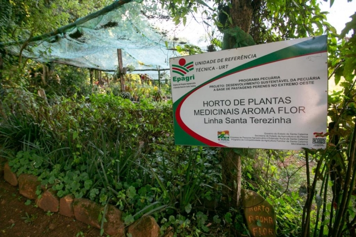Horto Medicinal Aroma Flor, em Palmitos; local é opção de lazer com trilha ecológica e outros atrativos