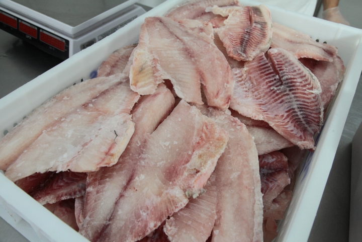 Tilápia lidera mercado de filés de peixe, que ainda tem espaço para expansão