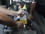 Roteiro cervejeiro do Vale do Itajaí dá os primeiros passos