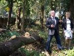 Comissão investiga desmatamento em bosque da Casa d’Agronômica