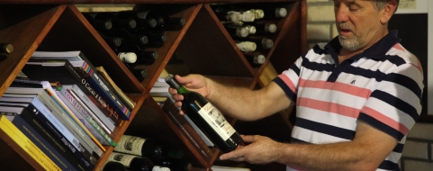 Celso Panceri, vitivinicultor e presidente do Sindivinho, aposta no cultivo de uvas mais rústicas para aumentar a produtividade. FOTOS: Fábio Queiroz/Agência AL
