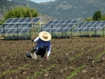 Aldo quer que agricultores tenham placas de energia solar nas propriedades