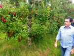 Corte de incentivos fiscais dos produtores de maçã preocupa Rodrigo Minotto