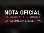 Bancada Feminina publica nota oficial de combate à homofobia em Florianópolis
