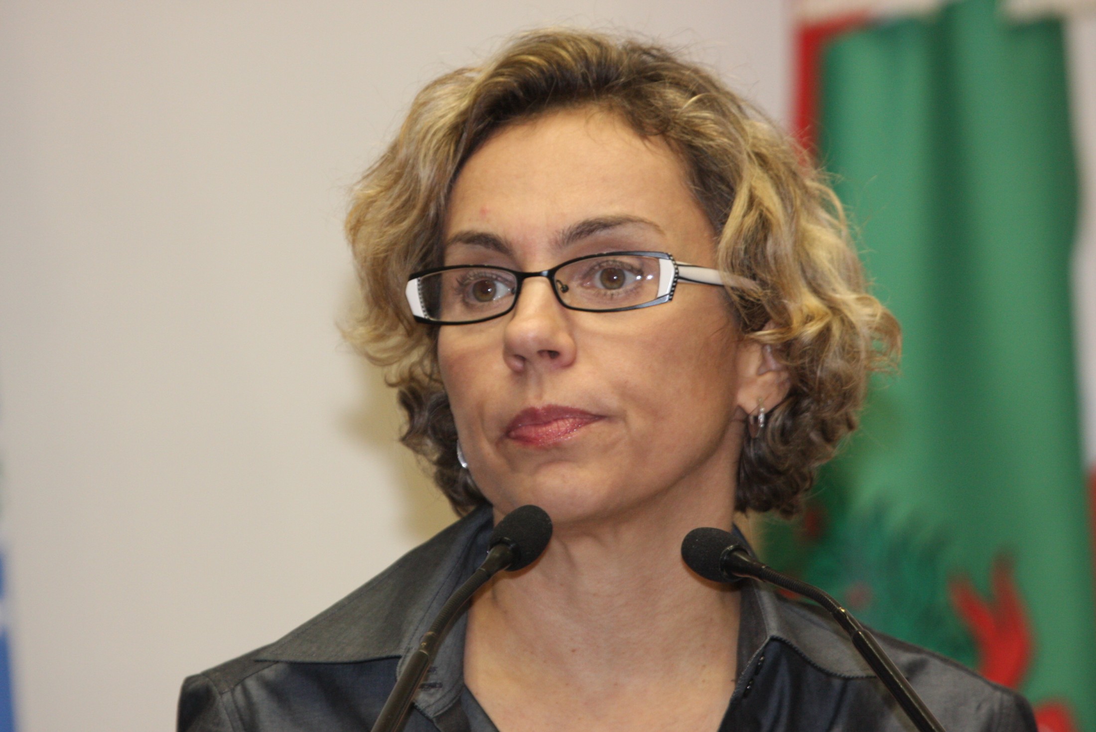 Ag Ncia Alesc Deputada Ana Paula Lima Pt