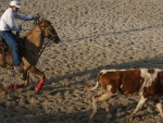 Começa hoje 3ª Edição do Rodeio Country