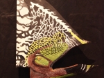 Pterossauros: uma nova espécie descoberta por pesquisadores catarinenses