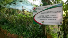 Horto Medicinal Aroma Flor, em Palmitos; local é opção de lazer com trilha ecológica e outros atrativos