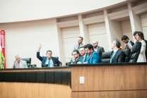 Comissão de Constituição e Justiça
