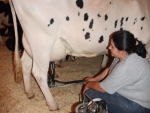 Palestra orienta produtores de leite da região de Xanxerê sobre nutrição animal