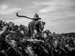 Mostra fotográfica retrata o cotidiano dos fumicultores de Grão-Pará