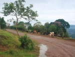 Regional de Chapecó prioriza pavimentação do acesso ao município de Paial