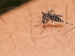 Audiência pública discute ações para conter avanço da dengue em SC
