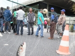 Pescadores protestam e pedem liberação de redes para pesca da tainha