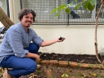 Alesc promove seminário de hortas e compostagem em escolas