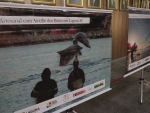 Dia Estadual da Preservação do Boto Pescador é celebrado com exposição