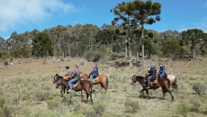 As cavalgadas percorrem dezoito fazendas pela região.