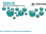 UFSC realiza pesquisa sobre efeitos socioeconômicos da pandemia da Covid