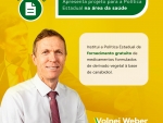 Weber quer instituir política estadual de fornecimento de medicamentos à base de canabidiol pelo SUS