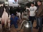 Expofeira de Presidente Getúlio destaca potencial de SC na pecuária leiteira