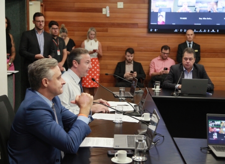 A reunião foi conduzida pelo vice-presidente do colegiado, deputado Napoleão Bernardes.