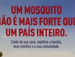 Ovos invisíveis a olho nu, resistentes ao frio, indicam volta do Aedes