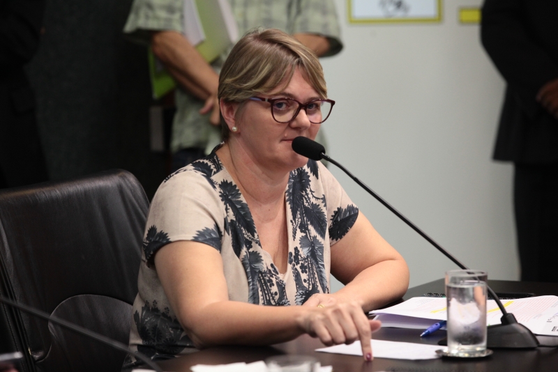 Frente lança comitê estadual com foco na assistência social durante  pandemia - Luciane Carminatti