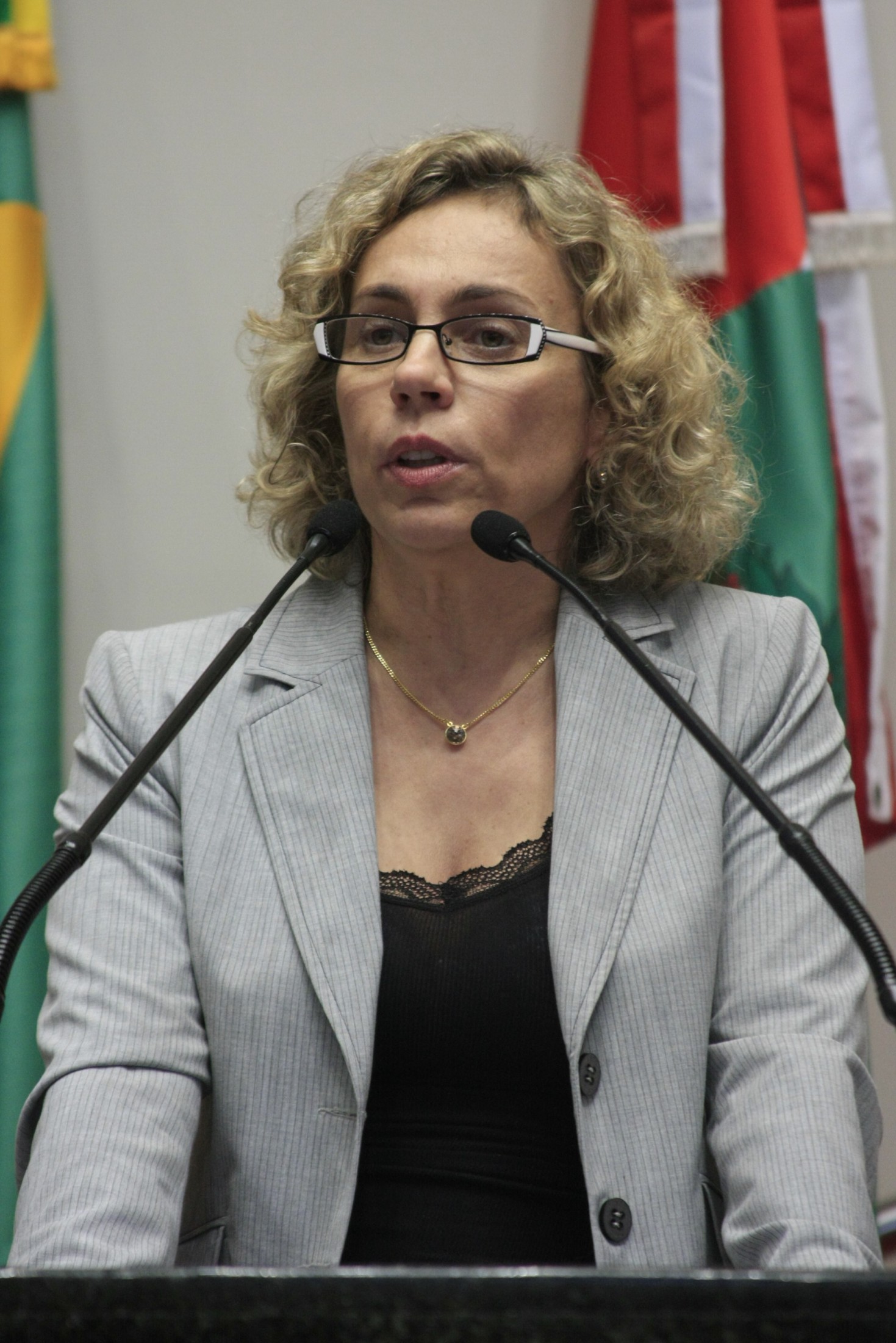 Agência Alesc Deputada Ana Paula Lima Pt